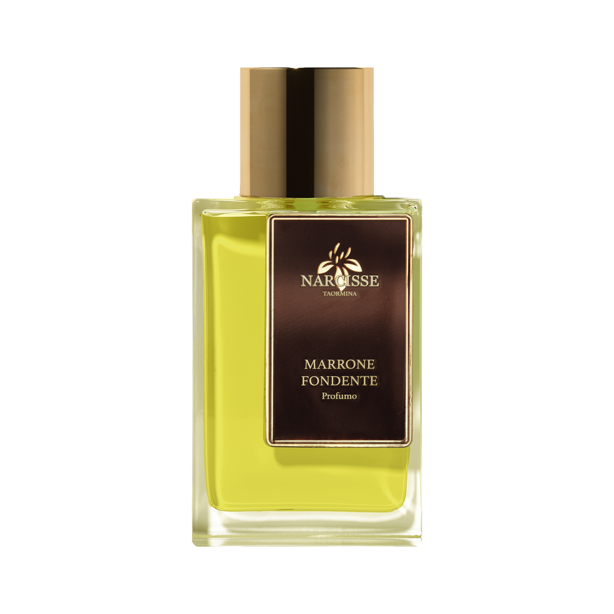 Marrone Fondente 100ml