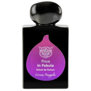 Ficus in Fabula 50ml
