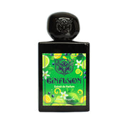 Ginfusion 50ml