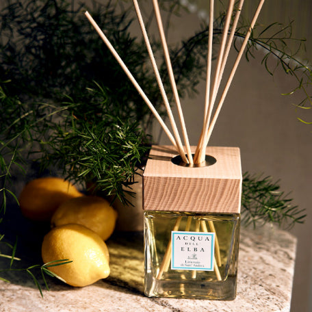Limonaia di Sant'Andrea Profumatore Ambiente 500 ml